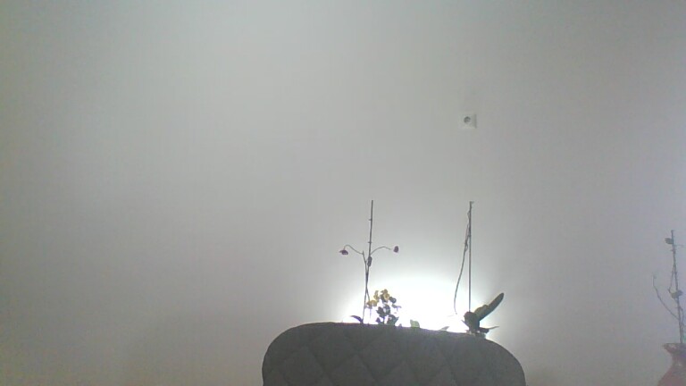 SimplyEnchanting's Streamate show and profile