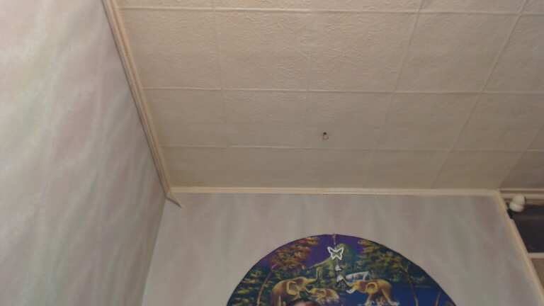 NastyKinkyCpl's Streamate show and profile